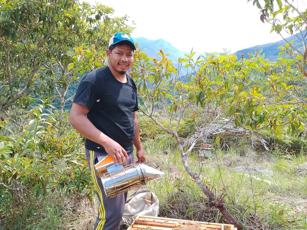 Apicultor boliviano trabajando entre sus colmenas en la montaña