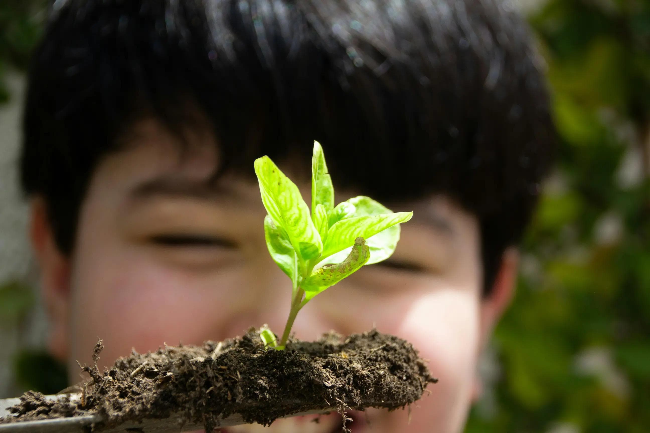 Joven sosteniendo una planta - crecimiento y sostenibilidad